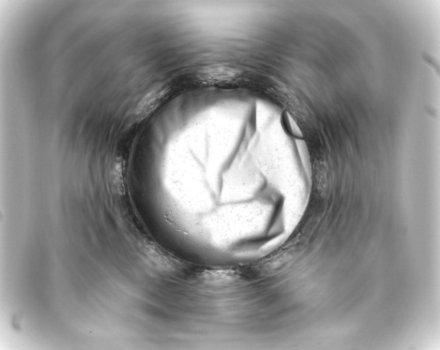 X0000093420378200711021019