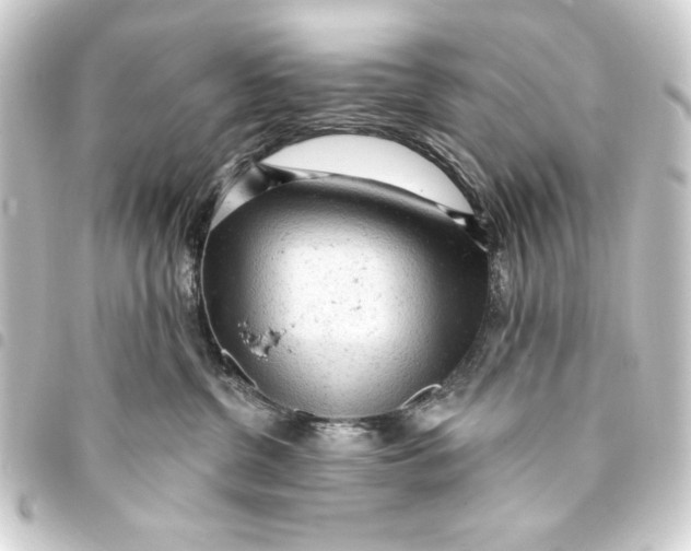 X0000093420380200711021019