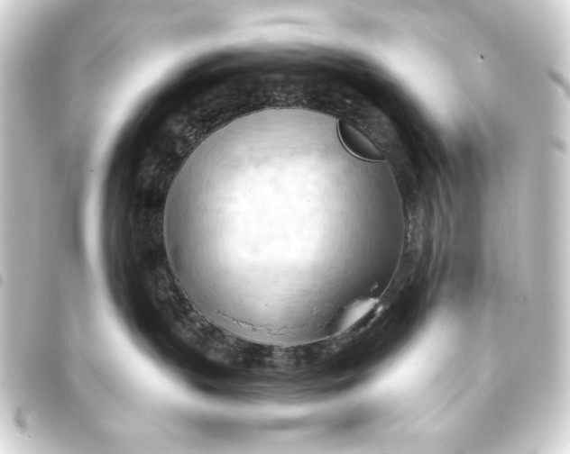 X0000093420383200711021019