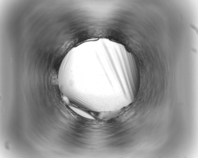 X0000093420384200711021019