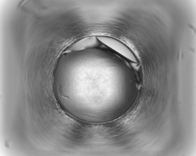 X0000093420385200711021019