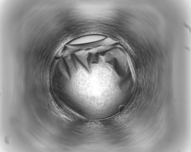 X0000093420386200711021019