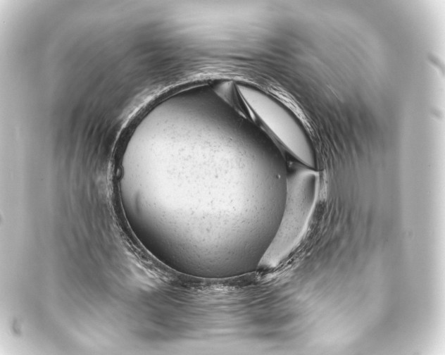 X0000093420387200711021019