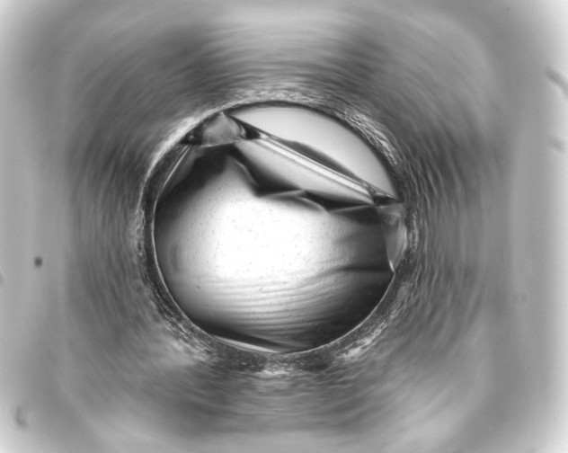 X0000093420388200711021019