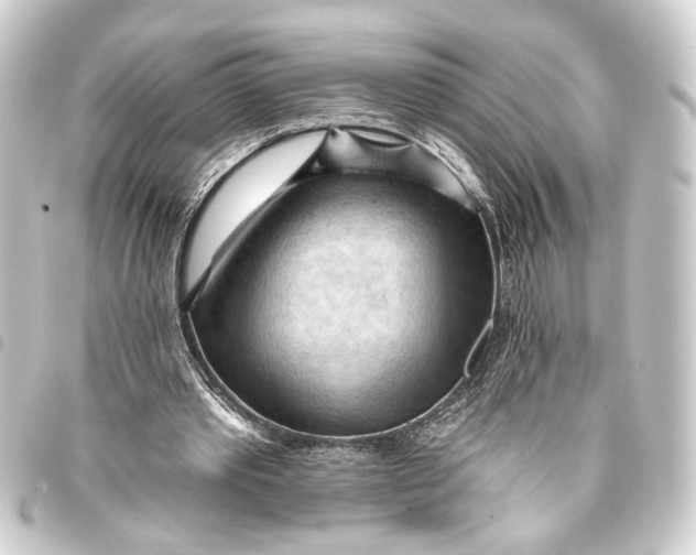 X0000093420389200711021019