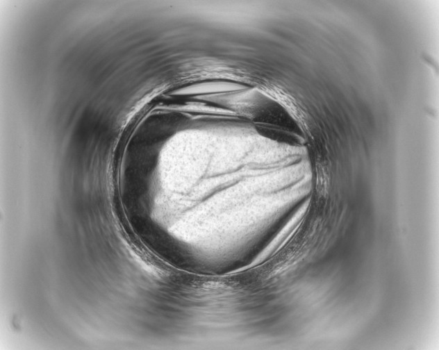 X0000093420390200711021019