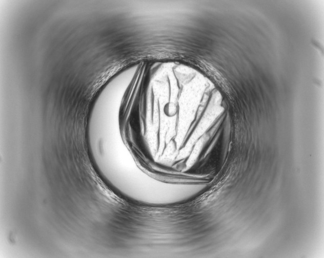 X0000093420393200711021019