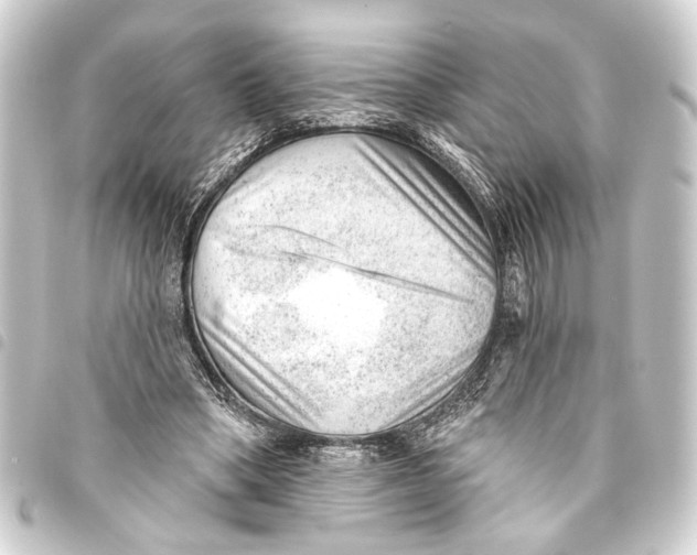 X0000093420394200711021019