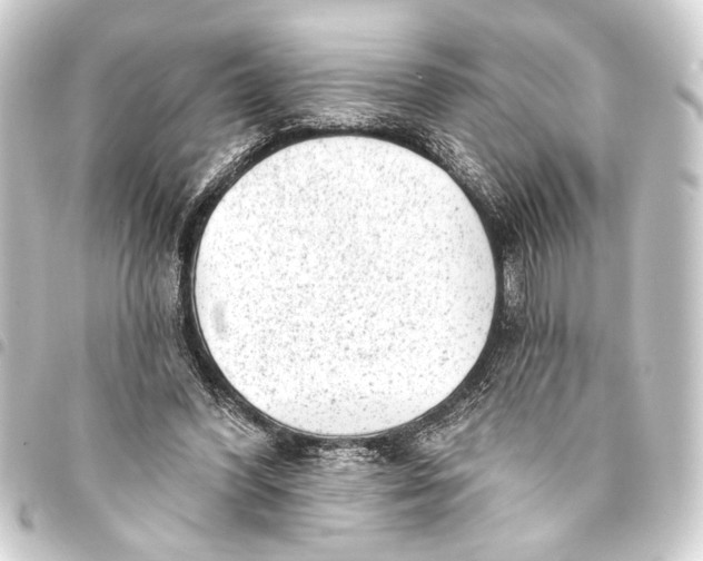 X0000093420396200711021019