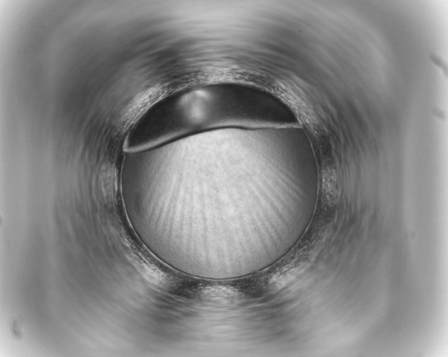 X0000093420397200711021019