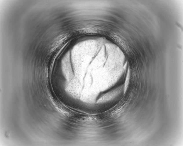 X0000093420398200711021019