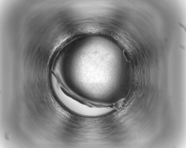 X0000093420399200711021019