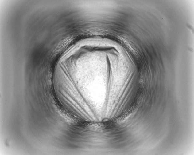 X0000093420402200711021019