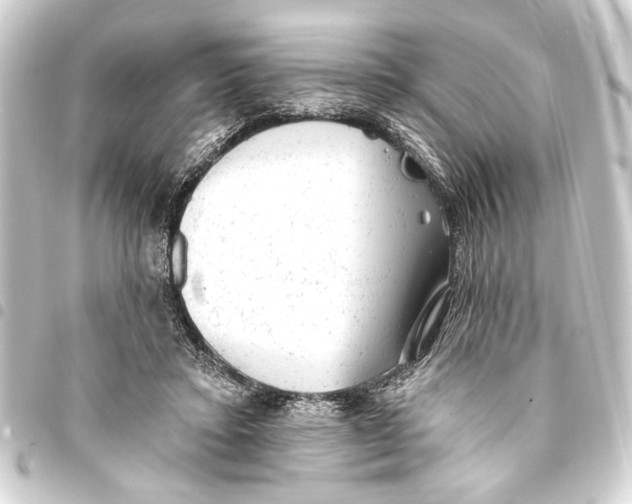 X0000093420403200711021019