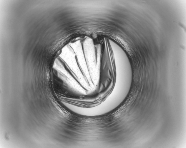 X0000093420405200711021019