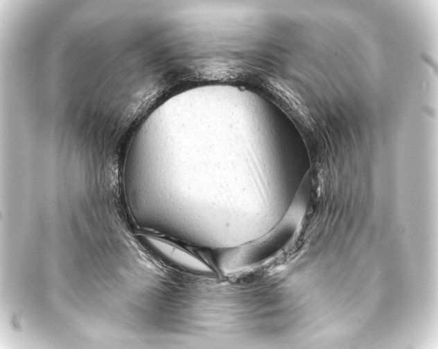 X0000093420407200711021019