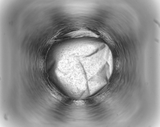 X0000093420409200711021018