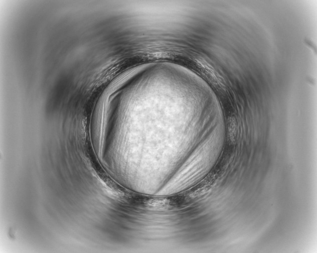 X0000093420410200711021018