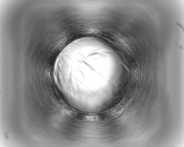 X0000093420415200711021018