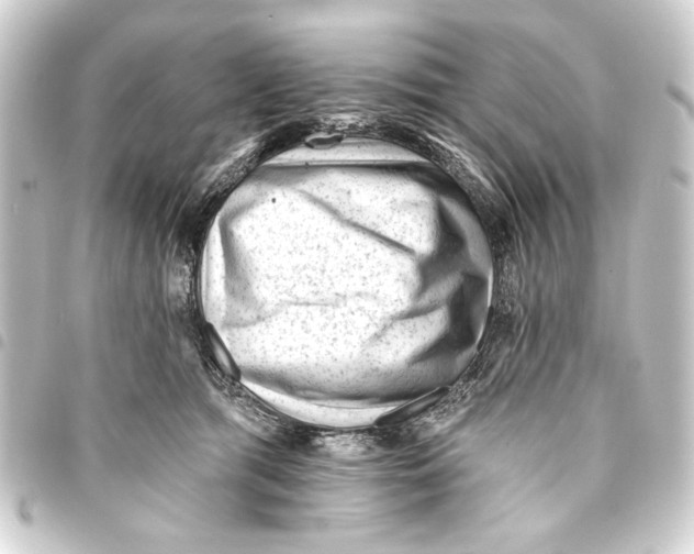 X0000093420417200711021018