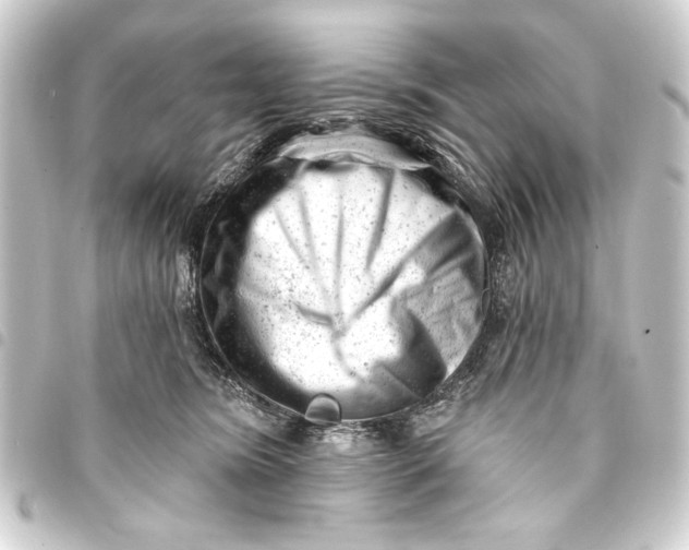 X0000093420420200711021018