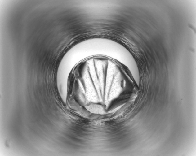 X0000093420421200711021018