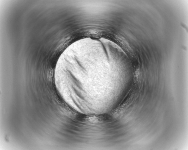 X0000093420423200711021018