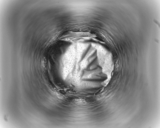 X0000093420424200711021018