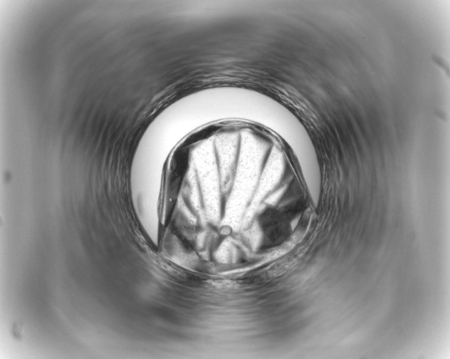 X0000093420425200711021018