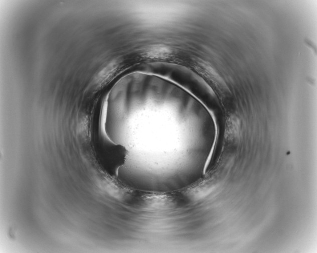 X0000093420428200711021018