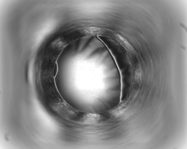 X0000093420429200711021018