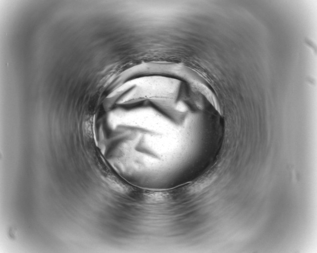 X0000093420432200711021018