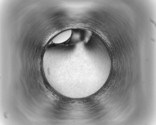 X0000093420434200711021018