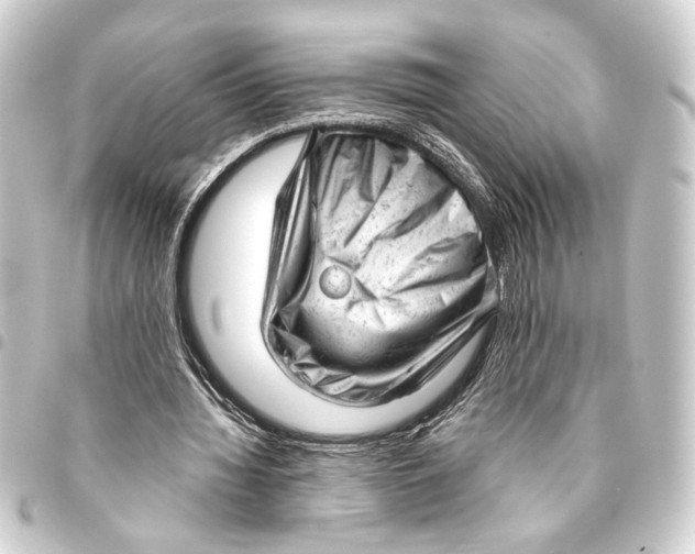 X0000093420436200711021018