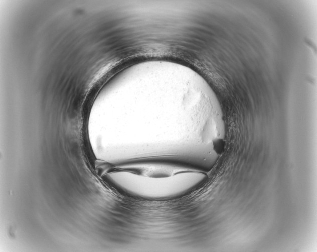 X0000093420440200711021018