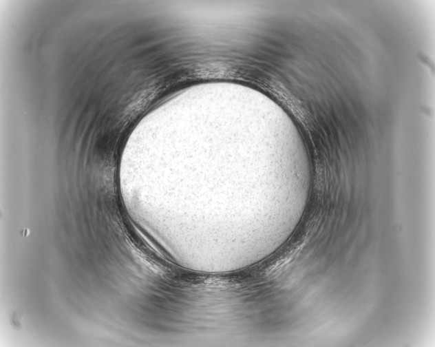 X0000093420441200711021018