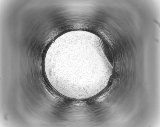 X0000093420443200711021018