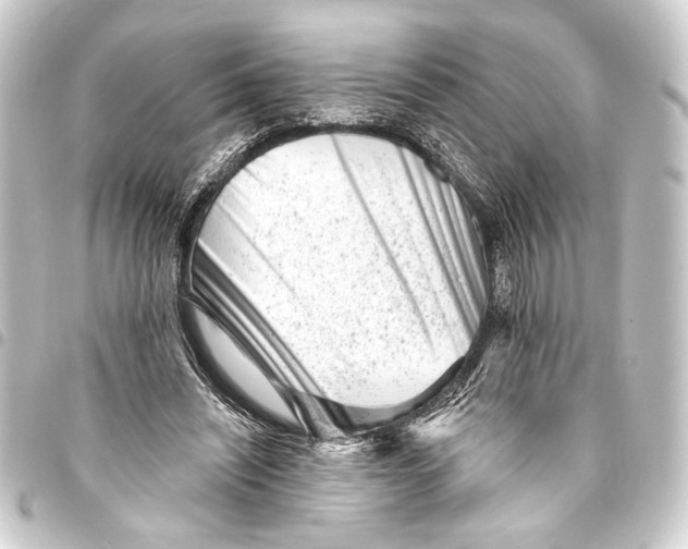 X0000093420444200711021018