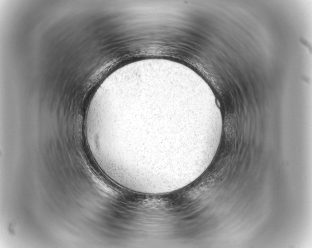 X0000093420445200711021018