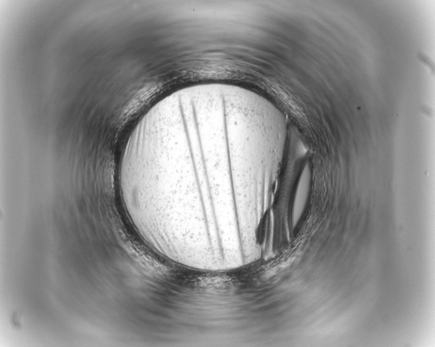 X0000093420446200711021018