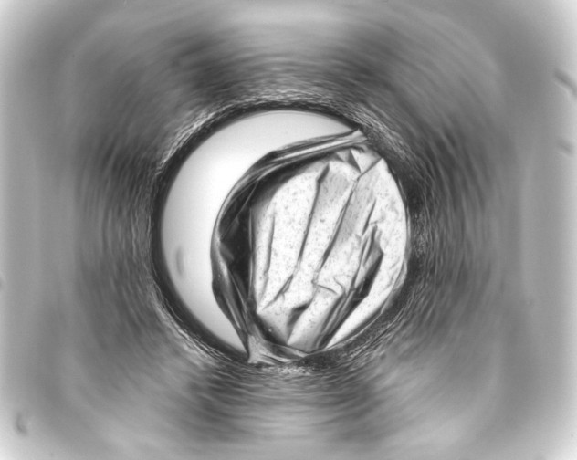 X0000093420448200711021018