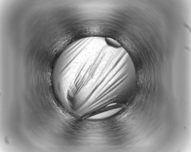 X0000093420450200711021018