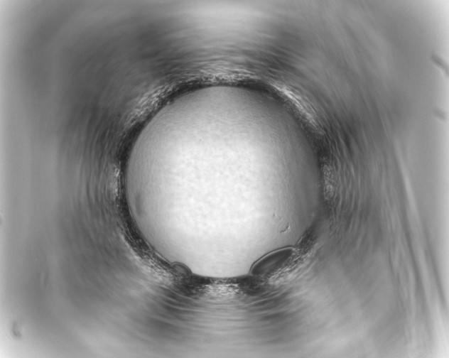 X0000093420451200711021018