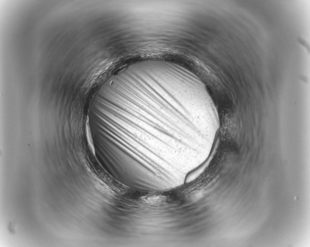 X0000093420452200711021018