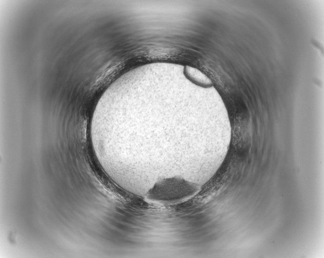 X0000093420454200711021018