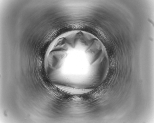 X0000093420456200711021018