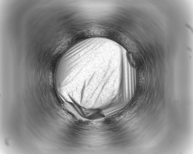 X0000093420457200711021018