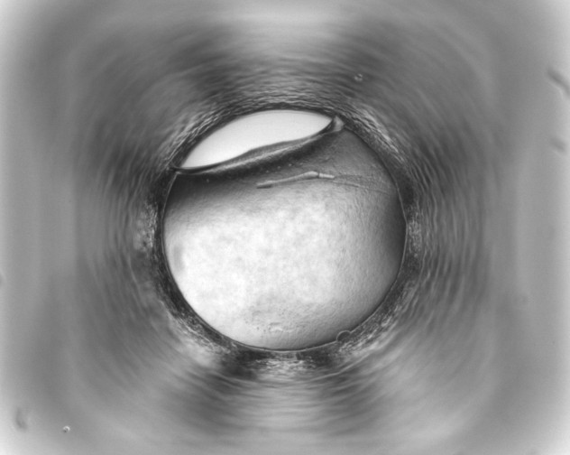 X0000093420458200711021018