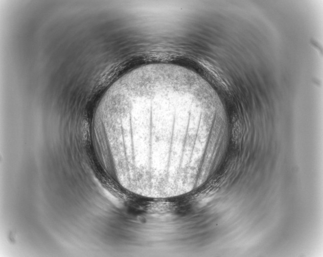 X0000093420459200711021018