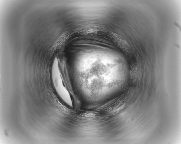 X0000093420462200711021018